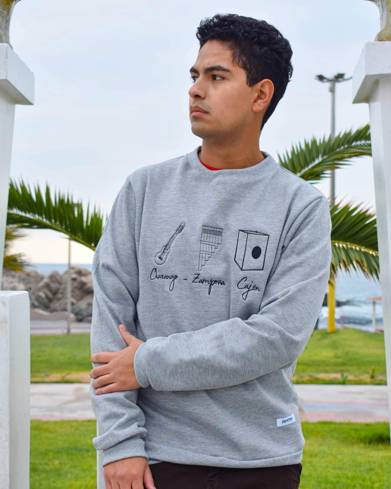 Polera Raymi - 4 colores - Hombre
